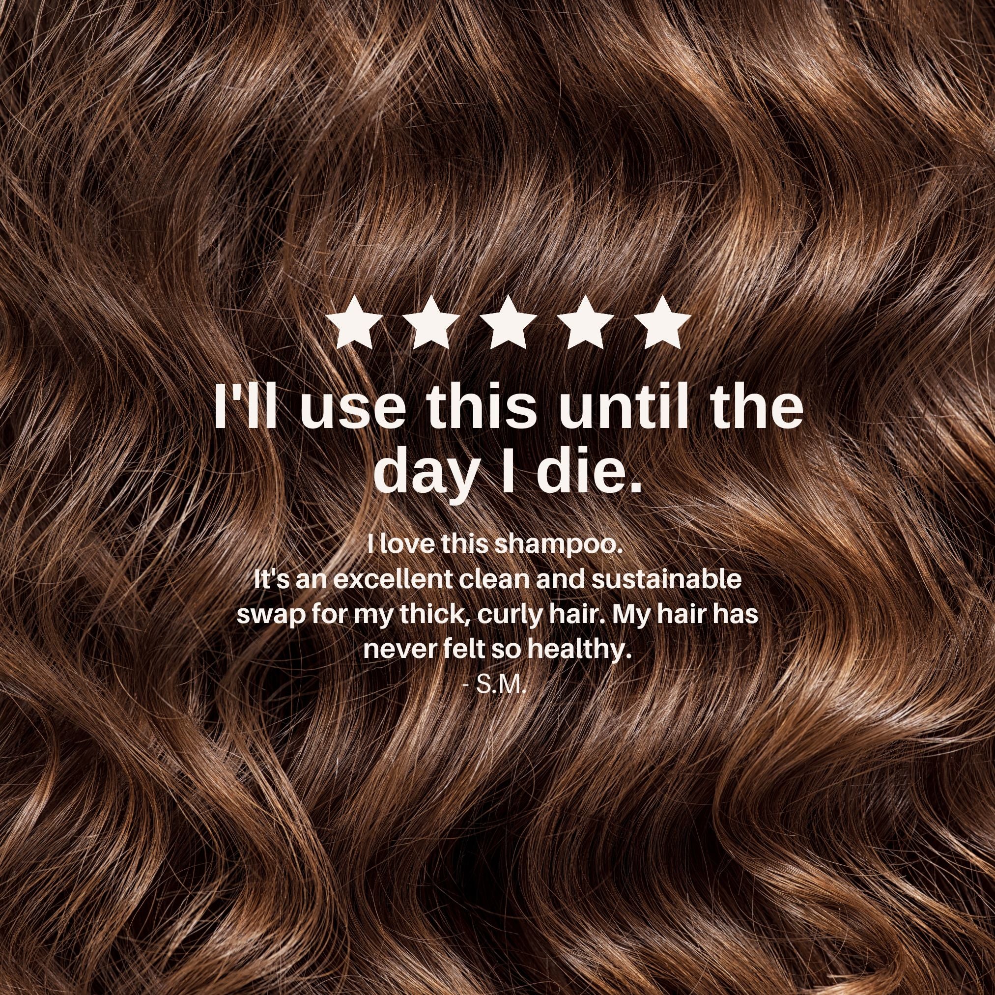 The Shampoo Concentrate - Image 11