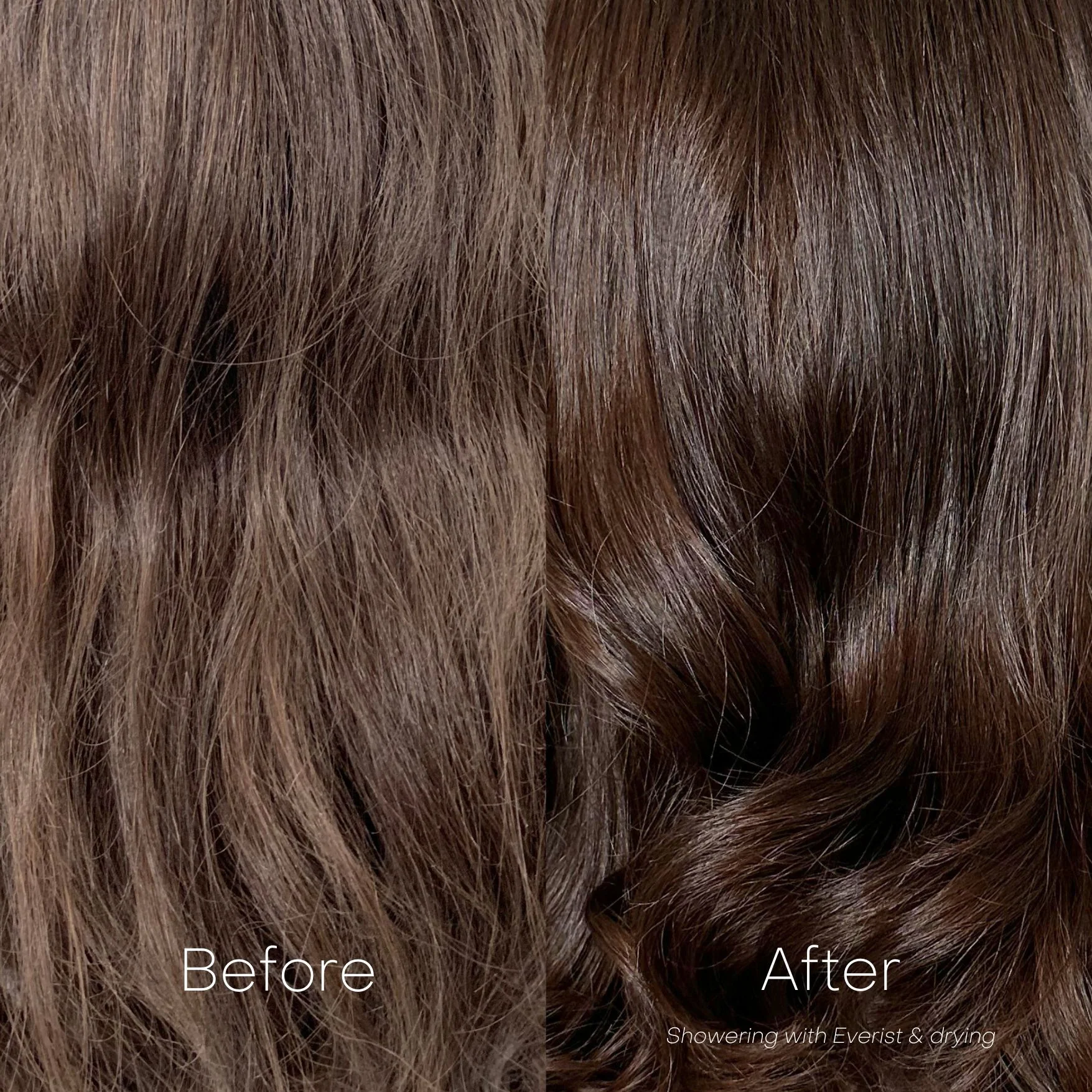 The Shampoo Concentrate - Image 7