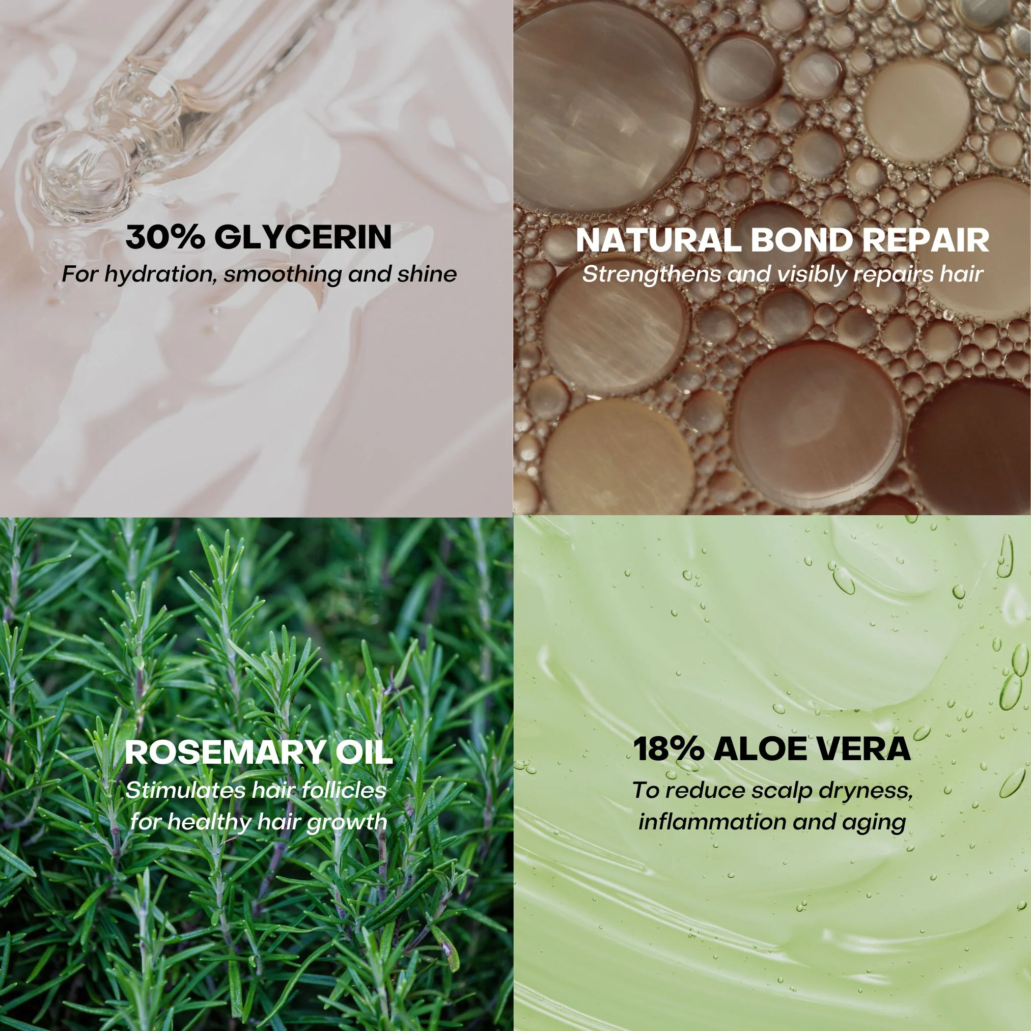 The Shampoo Concentrate - Image 9